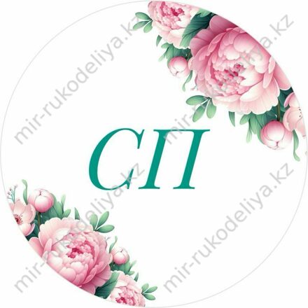 СП- ШКОЛА. ПРИХОД КОНЕЦ ИЮЛЯ